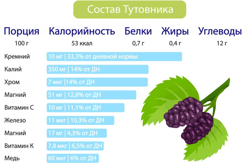 Шелковица - что это за ягода, вкус, полезные свойства