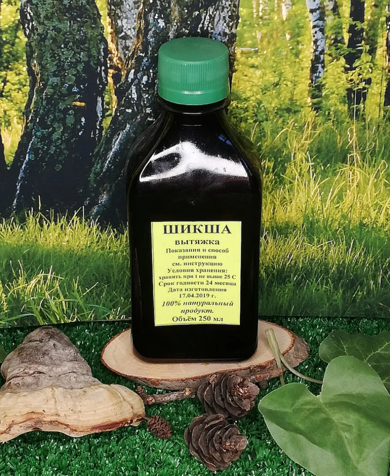 Шикша — лечебные свойства и противопоказания