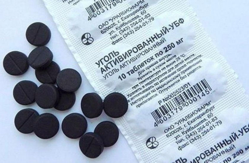 Волчья ягода: фото, свойства и описание ядовитых растений