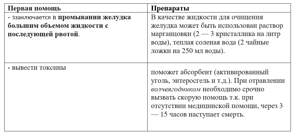 Волчья ягода: фото, свойства и описание ядовитых растений